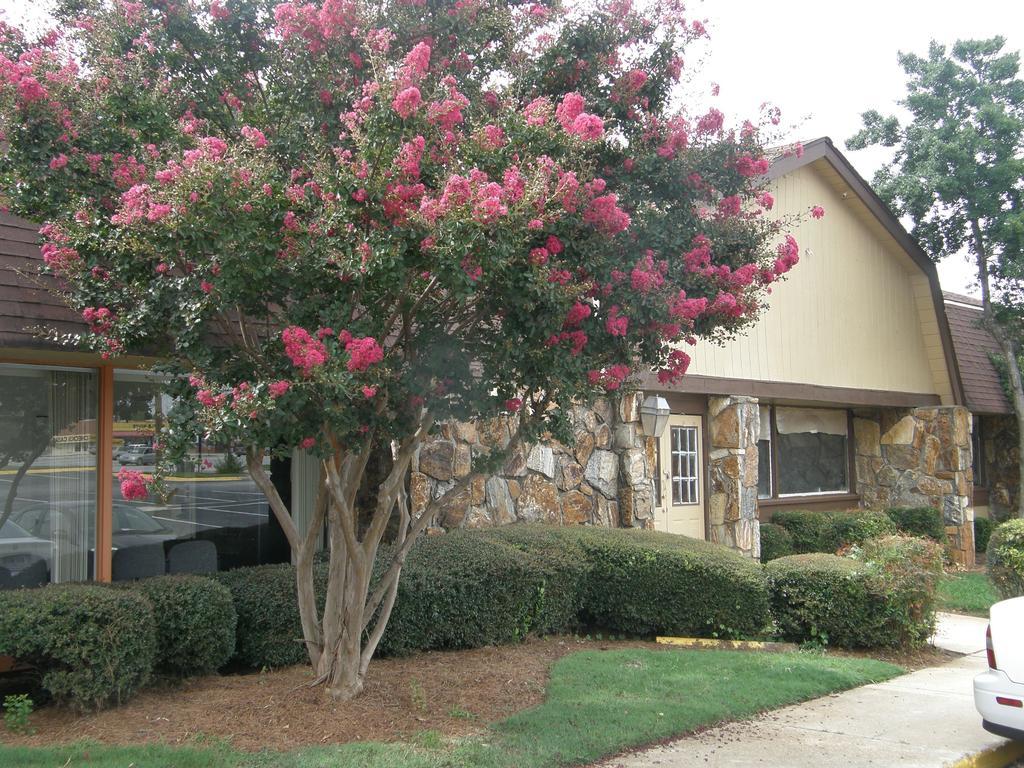 Economy Inn - Wesley Chapel 迪凯特 外观 照片